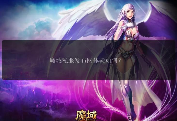 魔域私服：源自正版却非官方，有独特魅力也有诸多问题